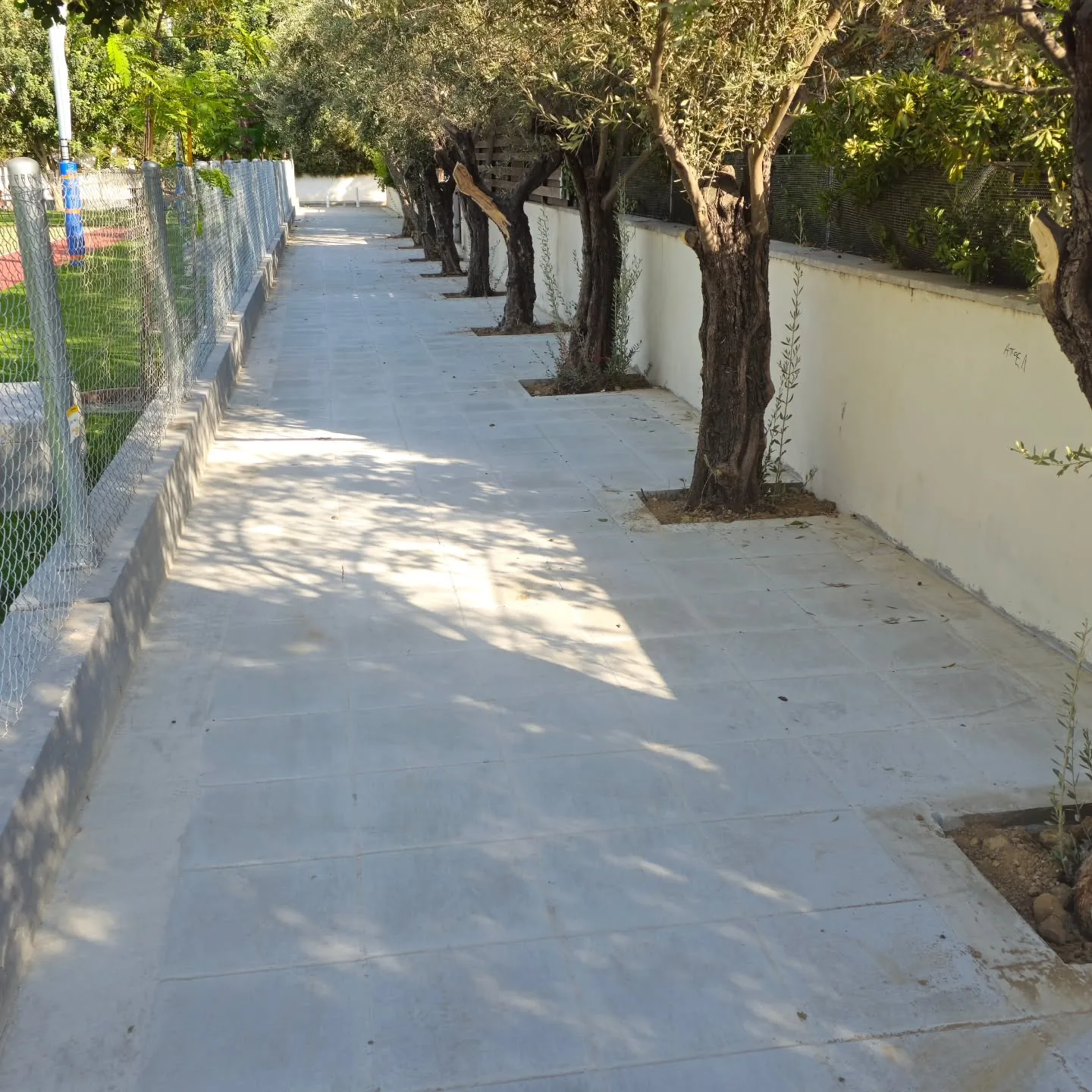 Ολοκληρωμένο πεζοδρόμιο από σκυρόδεμα με δεντροστοιχία